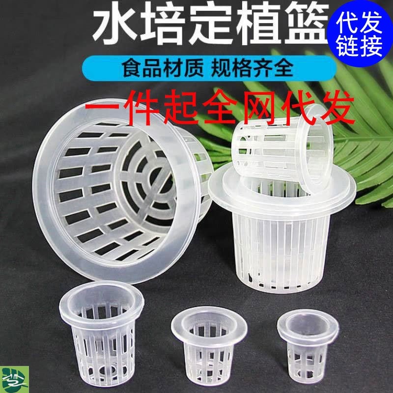 水培定植篮蔬菜无土栽培设备塑料加深种植蓝水耕植物定植杯固根器