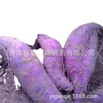 厂家常年供应紫薯purple sweet potato    欢迎选购