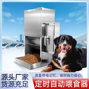 Timed Automatic Feeder with Thickened Stainless Steel Design and Two Styles to Choose from on Demand