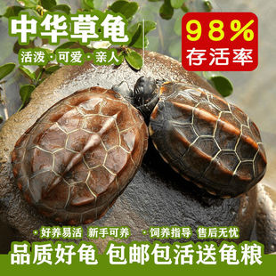 һ��һĸ�������A����С�����m�ϼ��B����ꑵ�������������B�ͻ�