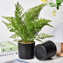 ���ϻ���S�ҼӺ�ֱͲ��ɫ���l�Gֲ�Nֲ�����bҾӑ����̨����