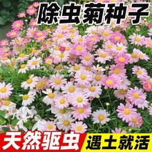 xջNòֲﱡļN_ܲݷN̫ꖻ