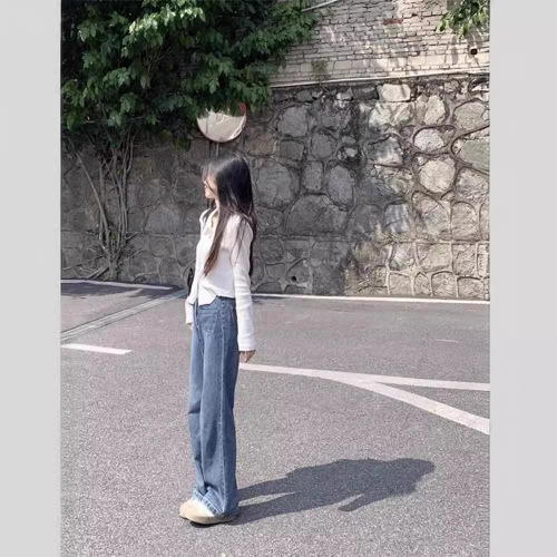 Design Double Zipper Lapel Long Sleeve T-Shirt Women's Spring and Autumn New Pure Desire Style Slimming Short Style Girl's Top