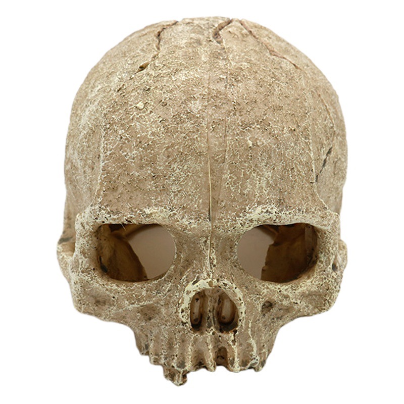 Caja de mascotas de escalada, decoración de paisaje, pecera, frasco de evitación, crin, león, serpiente, lagarto, caja para mascotas, decoración, esqueleto de simulación