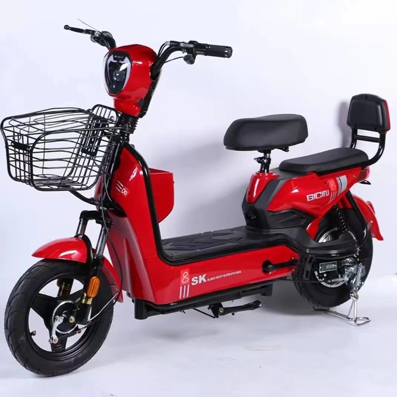 新しい国家標準電気自動車メーカー卸売国境を越えた二輪バッテリー車 48V リチウム電池大人用電動自転車|undefined