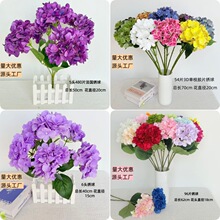 ����5�^480Ƭ�����zƬ����ٻ����~�ߙn��c���üҾ��b�6�^����