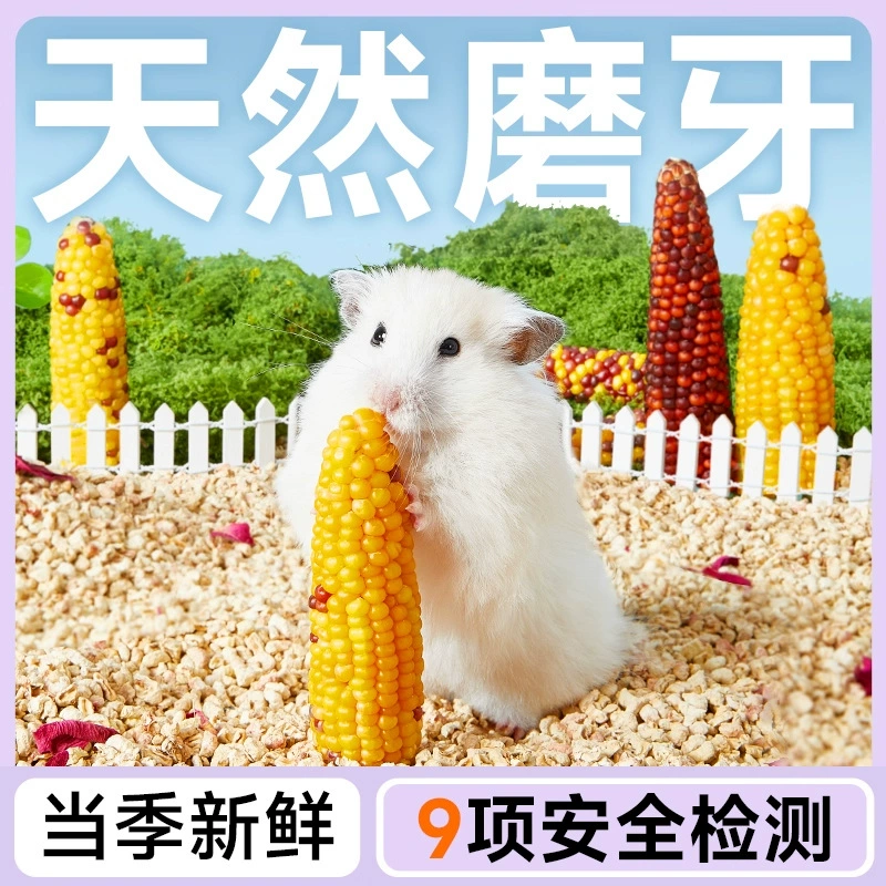 Коренные зубы хомяка Мини маленькая Кукуруза Золотой медведь закуски Шиншилла морская свинка кролик питание игрушки Поставки оптом