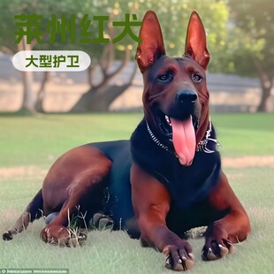 ���N�R�ݼt��Ȯ�K�t���w����Ȯ�o�lȮ����Ȯ����Ȯ�������̹���