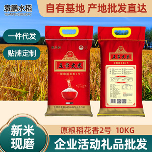 2025�峣������2̖�������ﵾ20��|���Fĥ�S�����l�A������