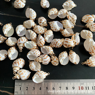 Aibeilai Shell Conch Jewelry Accessories Bag Phnom Penh Small Dongfeng Color Pendant Conch Necklace Material Pendant