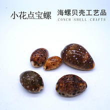 宝螺 宝螺品牌 图片 价格 宝螺批发 阿里巴巴