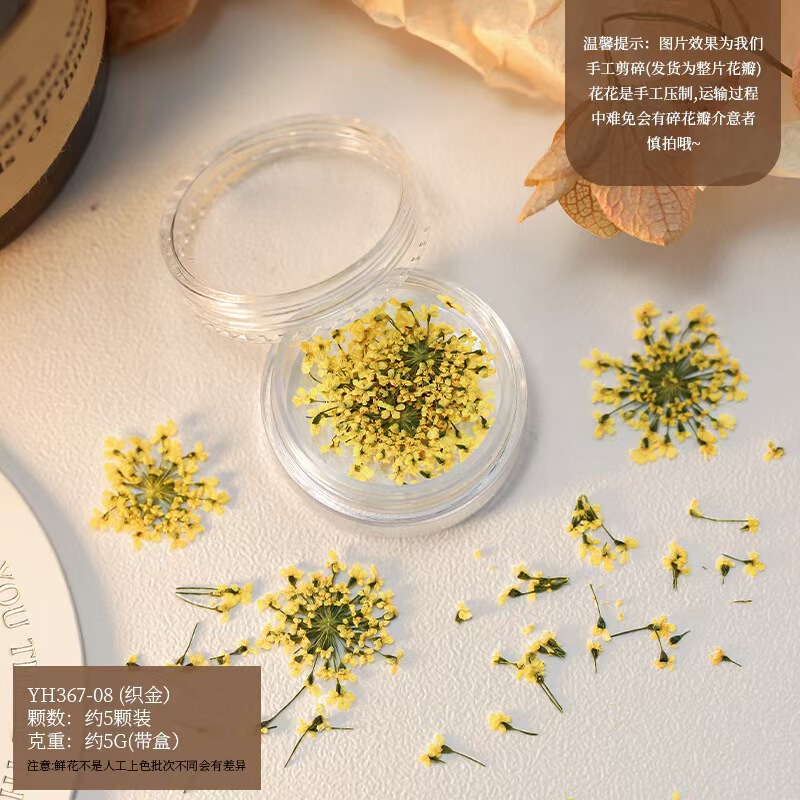 Cross-Border Japanese-Style Ins Trendy Popular 3D Nail Art Dried Flowers Colorful Petal Oil Painting Color Matching Small Flowers DIY Materials