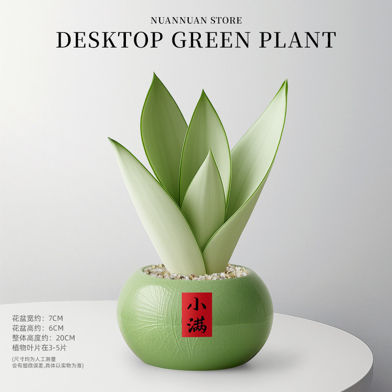 商品图