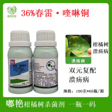 ������ ��G 36%����&middot;����~ ���٘���Ʒ������100��