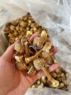 �����׸�؛����خa������ɢ�b���׾�ʳ�ü�����500g�oѬ�����
