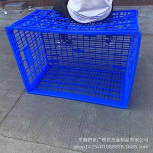 ���N�п����ϻj���D���ռ{���̖�����z�����ڃ���j���z�z���z��