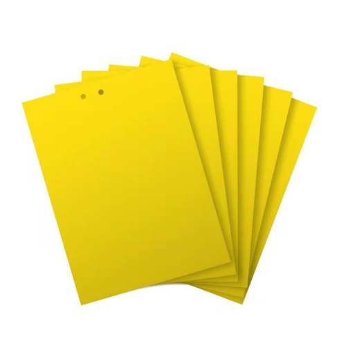 Maoshan King special-shaped sticky insect board yellow board double-sided tea garden insect trap board fruit fly trap yellow board insect trap board wholesale
