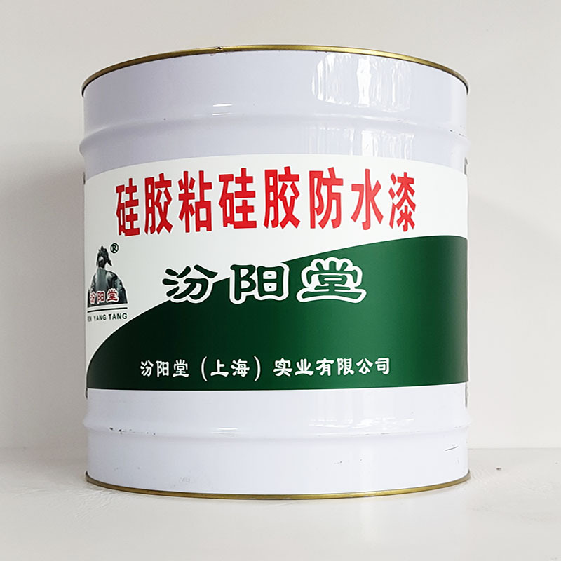 硅胶粘硅胶防水漆、包运输、硅胶粘硅胶防水漆、开桶即用