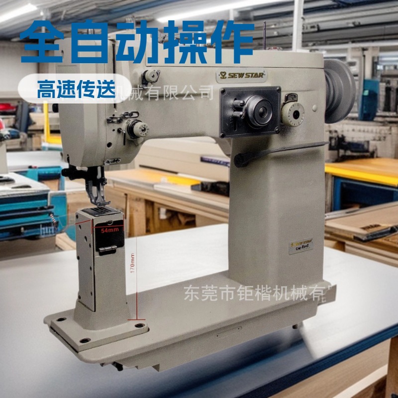 �������ֳ����������͸�ͷ����Ѻ��