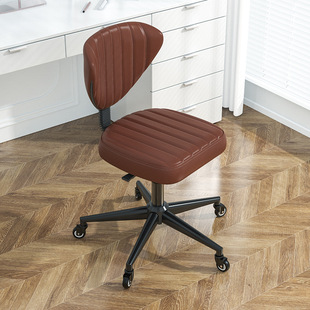 Dentist Chair Computer Chair Home Lift Makeup Stool Beauty Manicure Stool Hairdressing Backrest Chair Large Work Stool