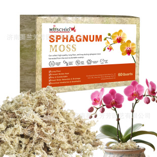 Cross-Border 1000g Compressed Sphagnum Carnivorous Grass Butterfly Orchid Blueberry Nutrient Soil Pet Mat Material Micro Landscape Peat Moss