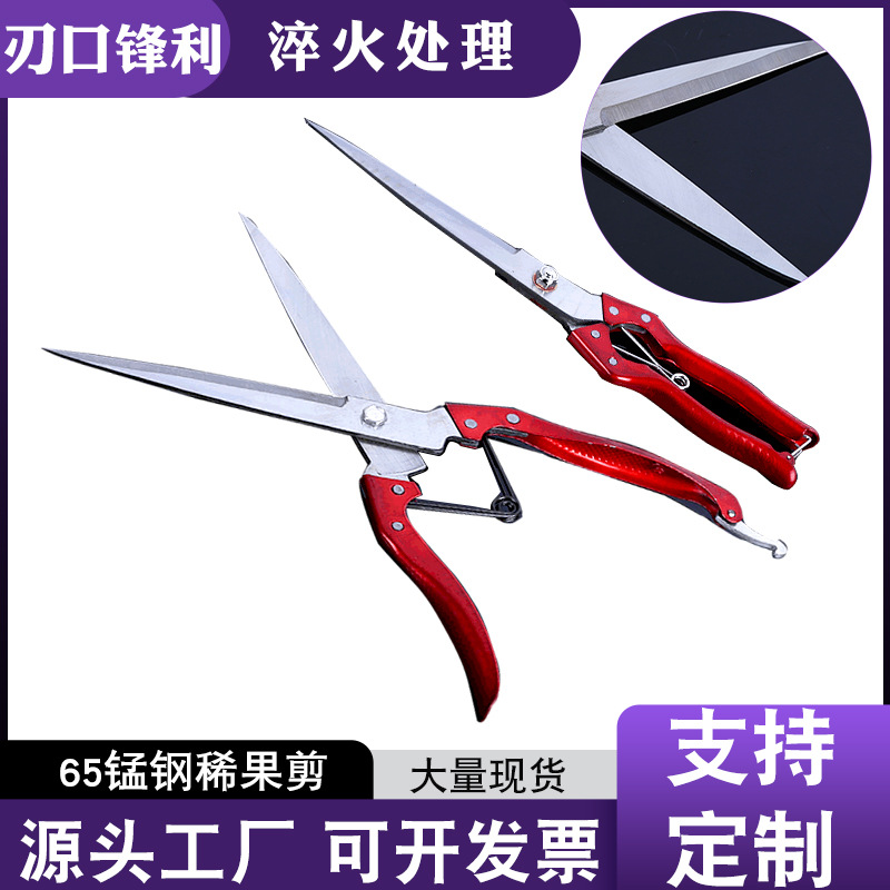 厂家供应尧顺采摘稀果剪尖头稀果剪花枝修枝剪园艺工具园林剪刀