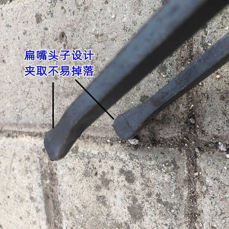 IMG_9658(20221011-094942)_副本