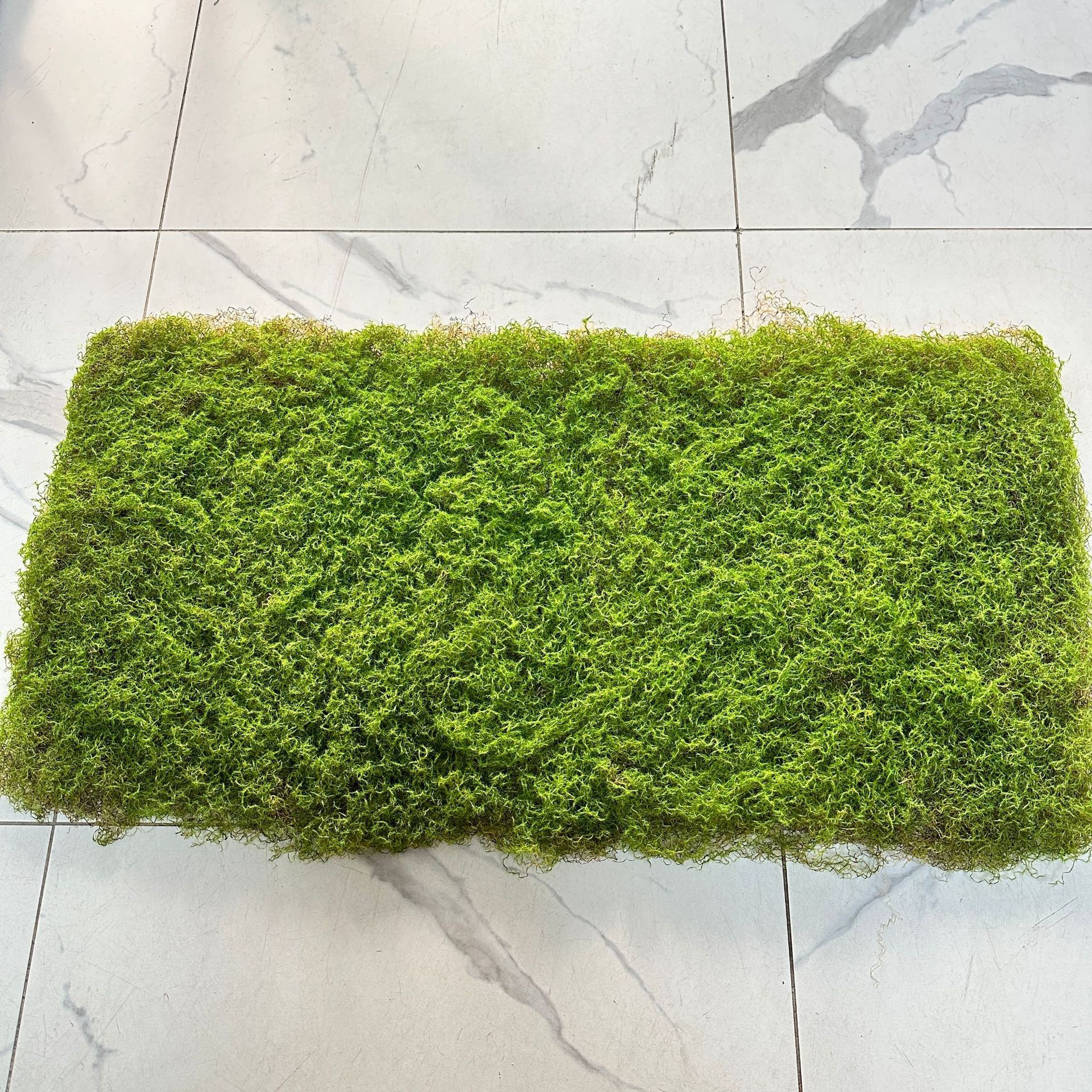 Césped artificial de musgo verde césped artificial planta paisaje planta verde escena ventana pantalla bonsai falso musgo