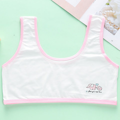 Women's and Girls' Developmental Bra for Preteen and Schoolgirls, Ages 9-12-13