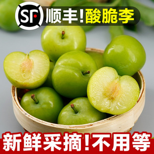 �V�|�����������r�����Fժ����ˮ�����A������һ�����l�羳���