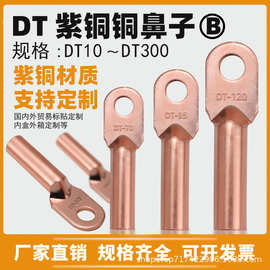 DT紫铜铜鼻子接线端子电线铜线鼻子堵油铜接头镀锡裸铜B级