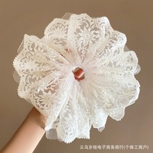 花朵刺绣蕾丝大肠发圈女2025年春新款高级感低马尾绝美发饰头绳大