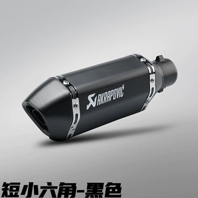 Motorcycle Modified Exhaust Pipe Imitation Motorcycle exhaust pipe - 300mm-short-style-small-hexagon-black