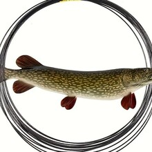 &zwnj;�⁺Ͻ���~ǰ���������[��4.5�׿��p�@⁾� ���~���~��ˮ��