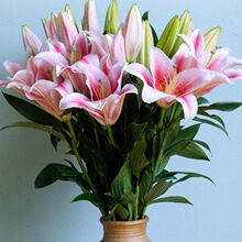 ����r�����l���r�Fժ��ˮ�۰ٺϻ������S������l����ˮ�B���廨