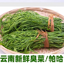 ��ϳ������~��Ϛg�º����G�~���������u���ؿ�ζ�߲����r���]