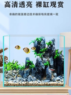 Shandong Jinjing Five-line Super White Glass Living Room Household Desk Rectangular Goldfish Bowl Turtle Cans Ecological Landscape