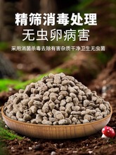 轻石颗粒造景浮石钵底石兰石兰花土多肉兰花铺面垫底石水族滤材
