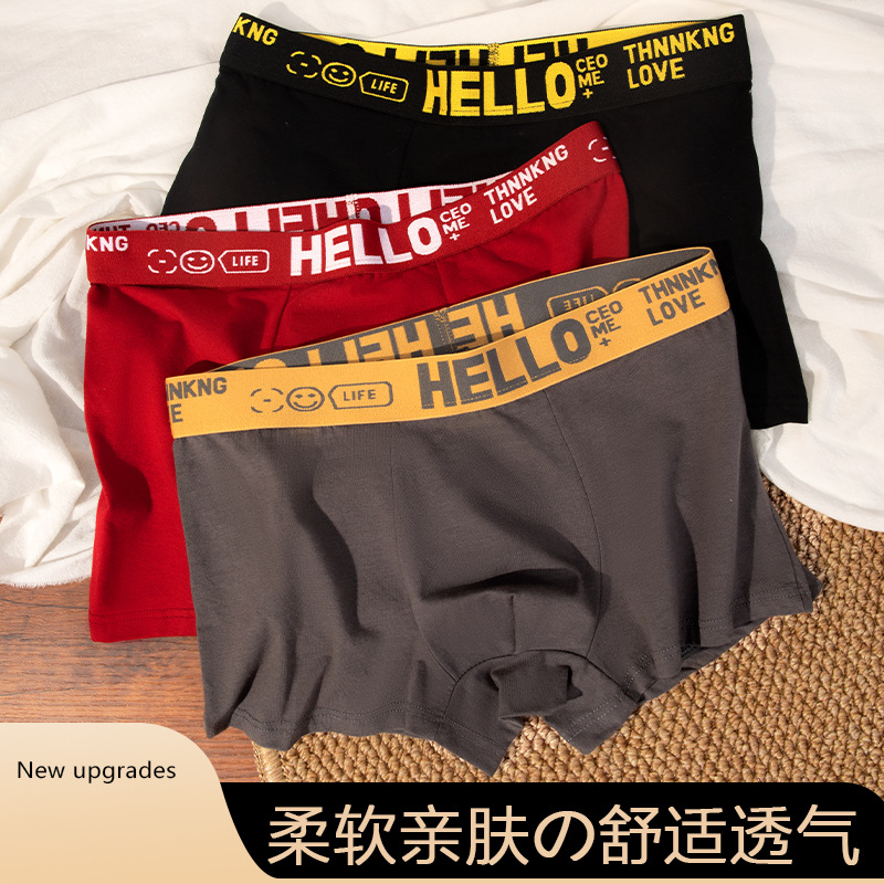 Pantalones de algodón de hombre de Xinjiang antibacterianas, pantalones de pierna plana de otoño y invierno transpirables, cintura media cómoda y suave, ropa interior deportiva de tendencia.