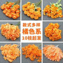 ��ɫ��c���ٻ���Y�b����Ľ����Y�õ��߻�ˇ���T��·����