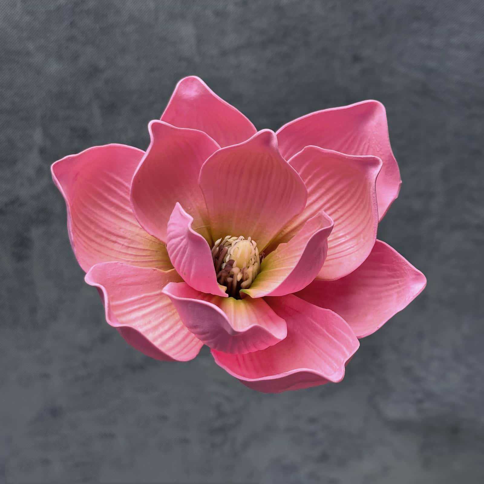Flor de simulación transfronteriza EVA cabeza de magnolia 13cm tacto tocado kapok decoración decoración decoración flor falsa al por mayor