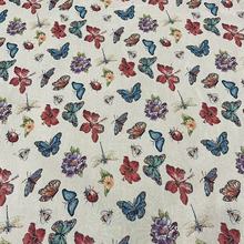 ɫ���Ứ��@�L���b�������x���@��������������������ɳ�l��