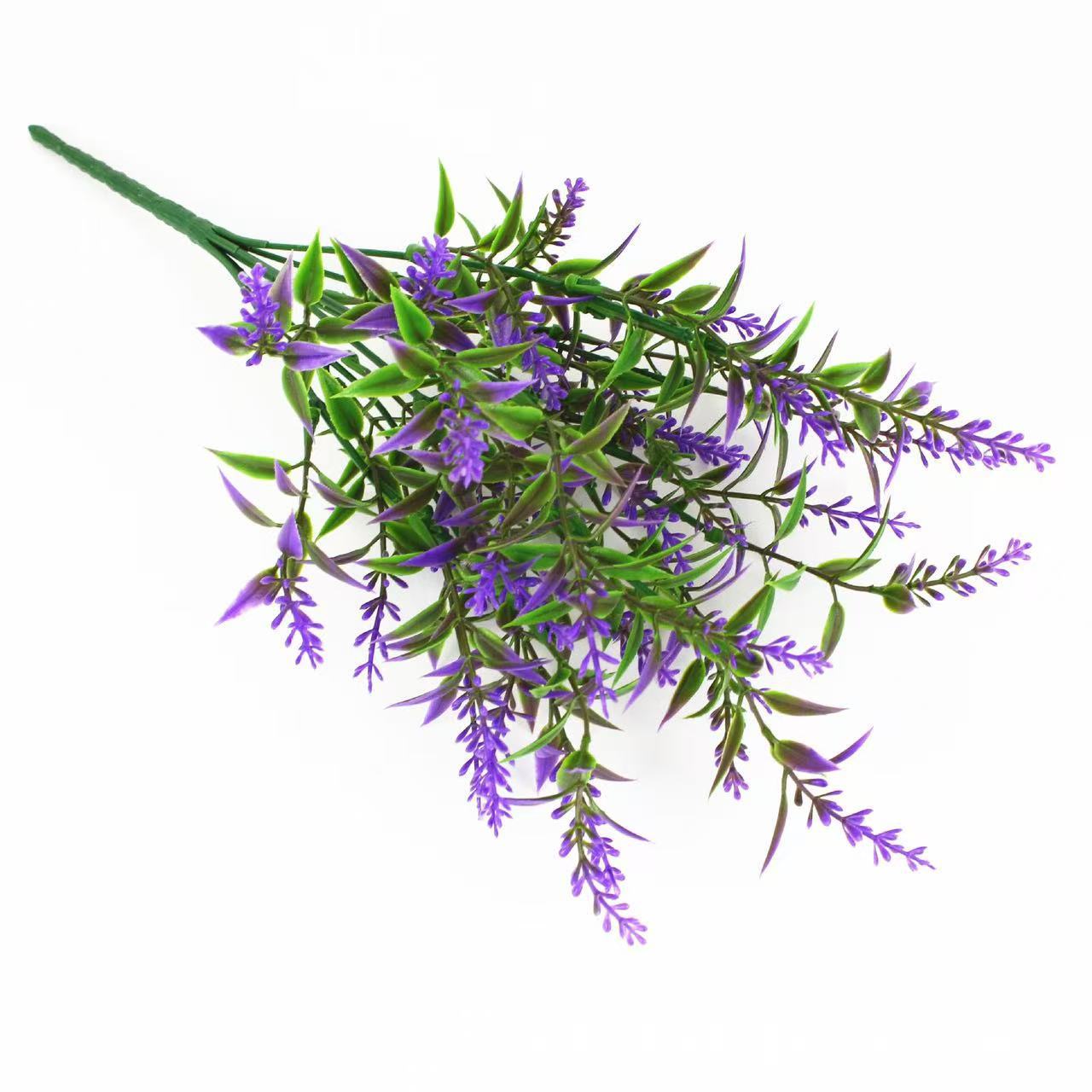 Morado