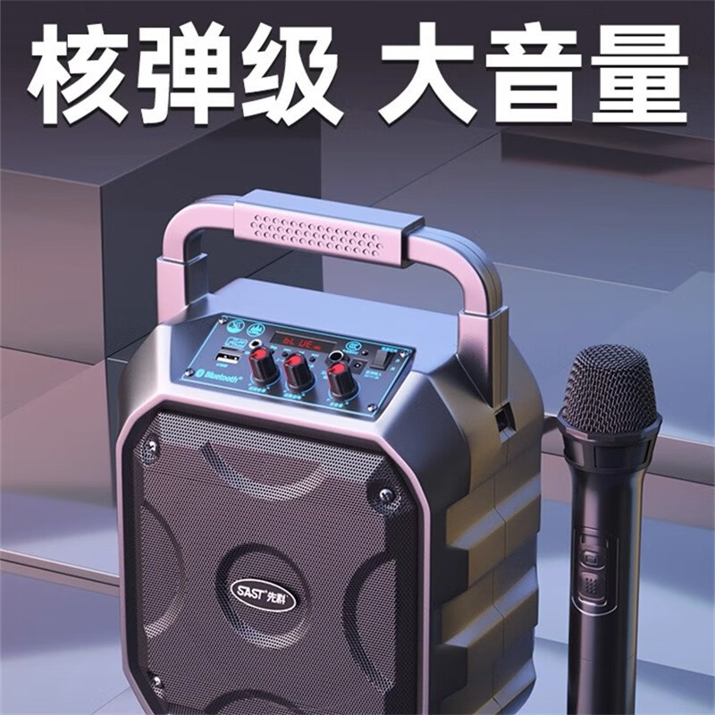 先科屋外ハンディブルートゥースオーディオ大出力広場舞携帯スピーカー大音量無線マイク付きk歌|undefined
