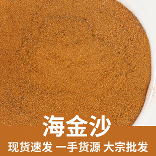 ����ɳ���l �o�s�Һ���ɰ�Ƀ���؛�o����Ʒ���D��500g�� ���󃞻�