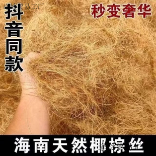 ��ȻҬ�zҬ�ؽz�B�C�|���W�^�}�������B�ů͸���B���|�Č���