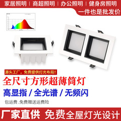 スクエアダウンライト埋め込み型LEDシングルヘッドダブルヘッド商業用超薄型グリルライト天井ライトメーカー両頭ダブライト