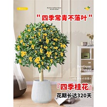 �𻨘��绨�����Խ��Gֲ�����ļ����҃ȿ͏d�̨ͥԺ�_���辰