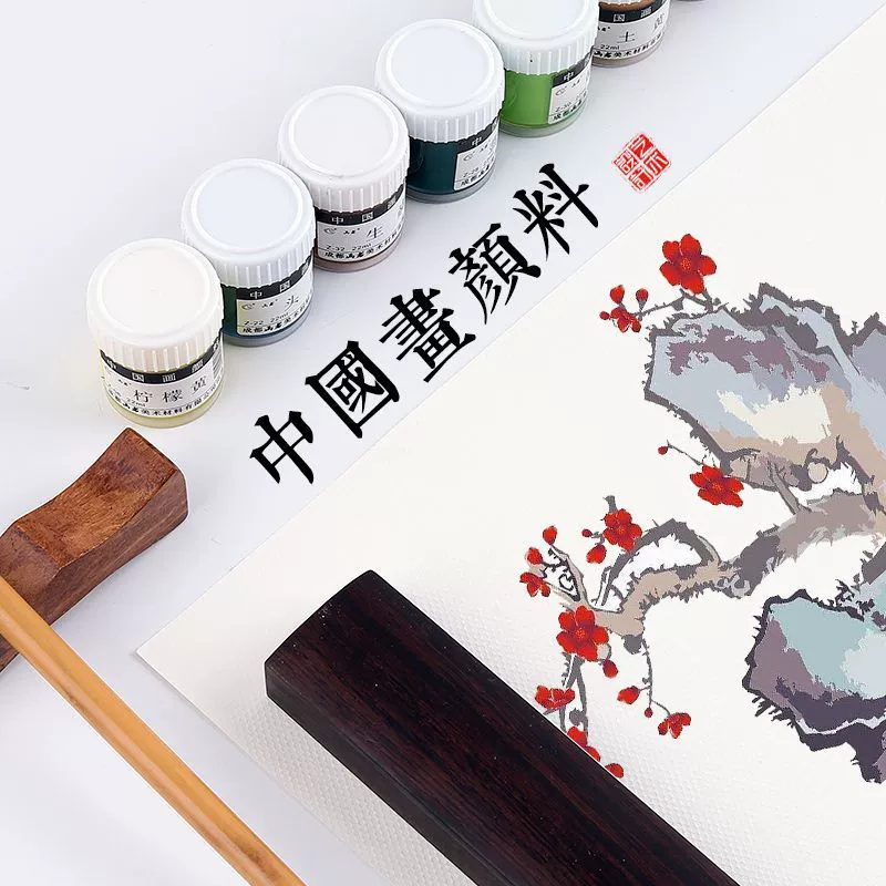 Китайская живопись, 24 пигмента, полный набор художественных китайских чернил, консервированные окрашенные необработанные пигменты