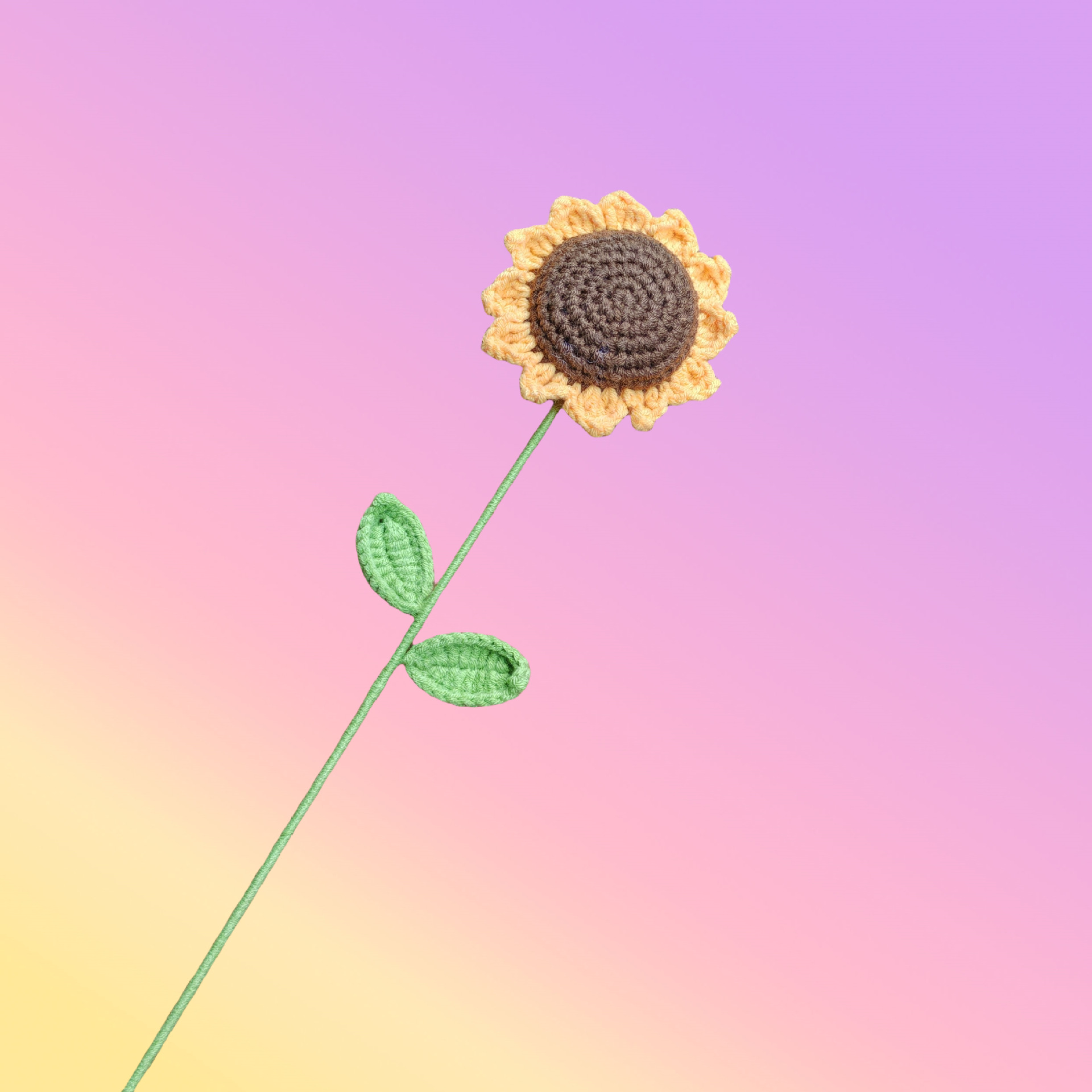 해바라기 부케(갈색)에는 꽃주머니가 포함되어 있지 않습니다.